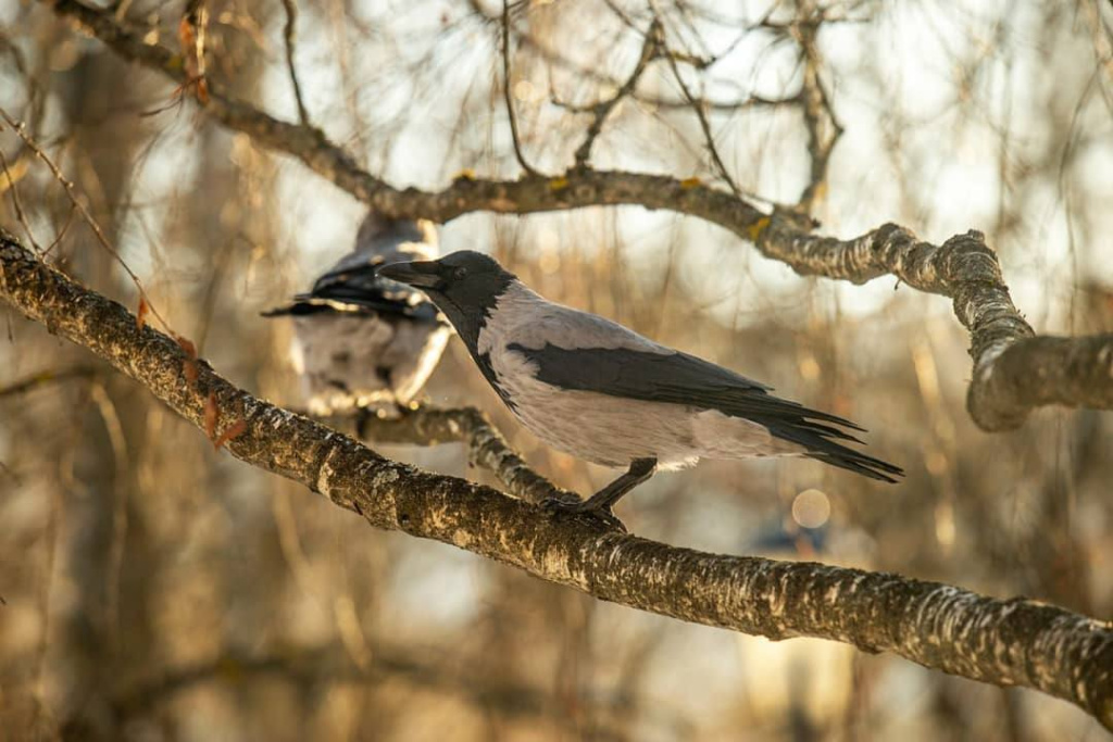 photo_2026-01-15_11-34-49 (2).jpg