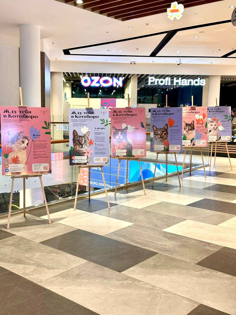 Фотовыставка 1.jpg Фотовыставка 1.jpg