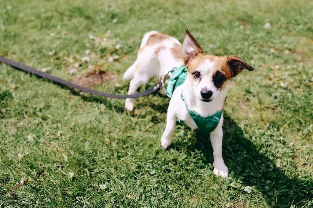 XUFeGdP7wWcLuXpFXQPp09jew6jS2hKwfWUJ--_DOhsiIxaNsB_sxTSfJIeKs1sXFP4spI17y4ScSW4nVEtD7VJQ.jpg XUFeGdP7wWcLuXpFXQPp09jew6jS2hKwfWUJ--_DOhsiIxaNsB_sxTSfJIeKs1sXFP4spI17y4ScSW4nVEtD7VJQ.jpg