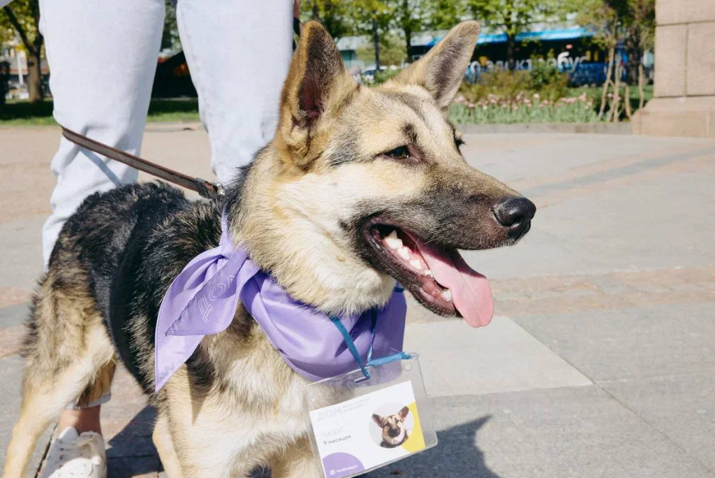 photo_2025-04-28 09.43.16.jpeg photo_2025-04-28 09.43.16.jpeg