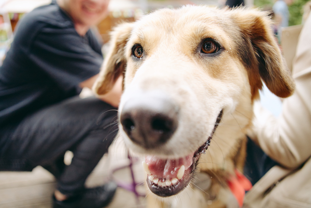 2025-07-06_12-48-50_RZ (1).jpg 2025-07-06_12-48-50_RZ (1).jpg