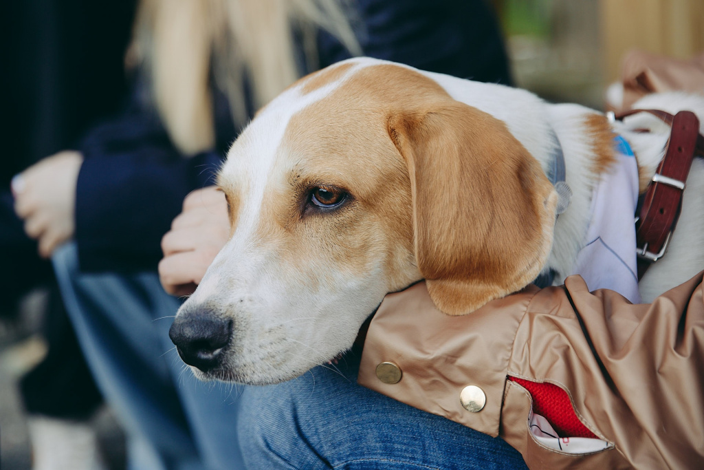 w5F6J4CC2qY (1).jpg w5F6J4CC2qY (1).jpg