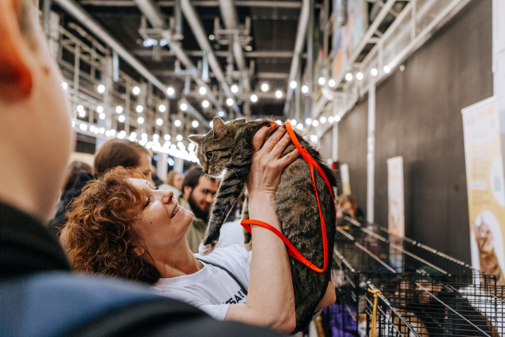 Котик на руках.jpg